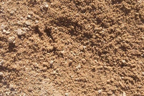 sandy soil